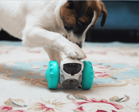 Comedouro Para Cachorro | Brinquedo Pet Interativo - Comedouro Lento Robô